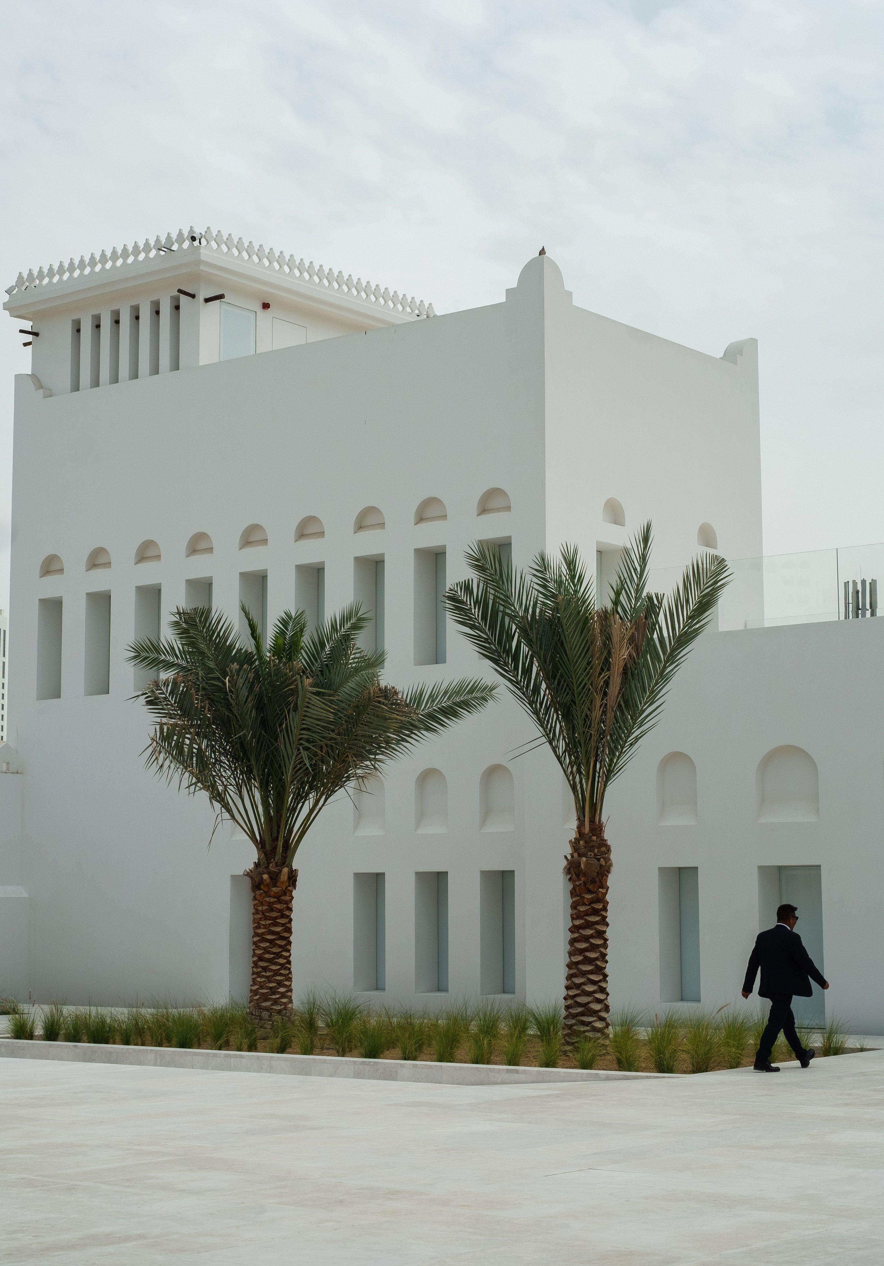 Two palms and a white building